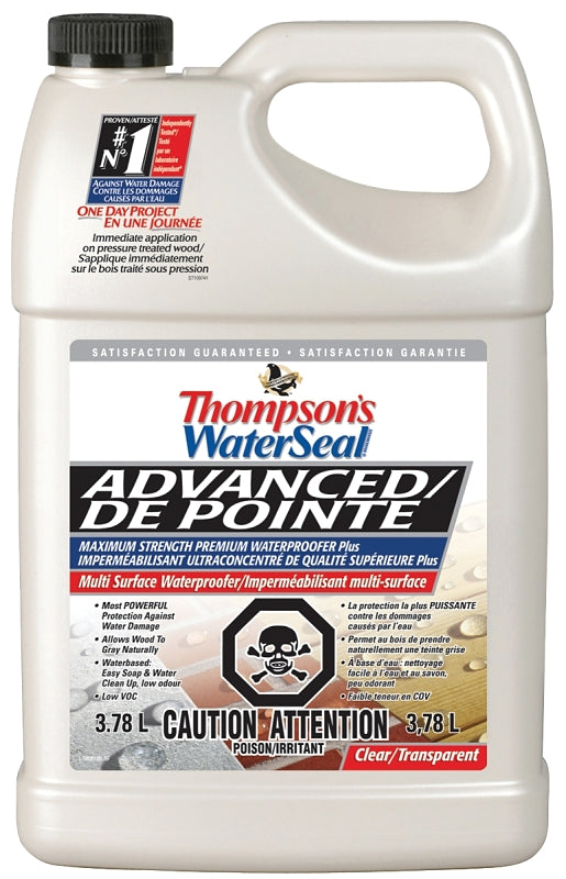 Thompson's WaterSeal THC051701-16 Water Sealant, Clear