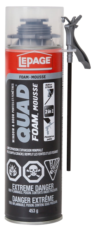 LePage Quad 1880791 Foam Sealant, 453 g