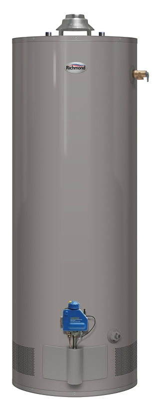 Richmond 6G50S-36PF3 Water Heater, Liquid Propane, 50 gal Tank, 36000 Btu BTU, 0.63 Energy Efficiency, Dark Warm Gray