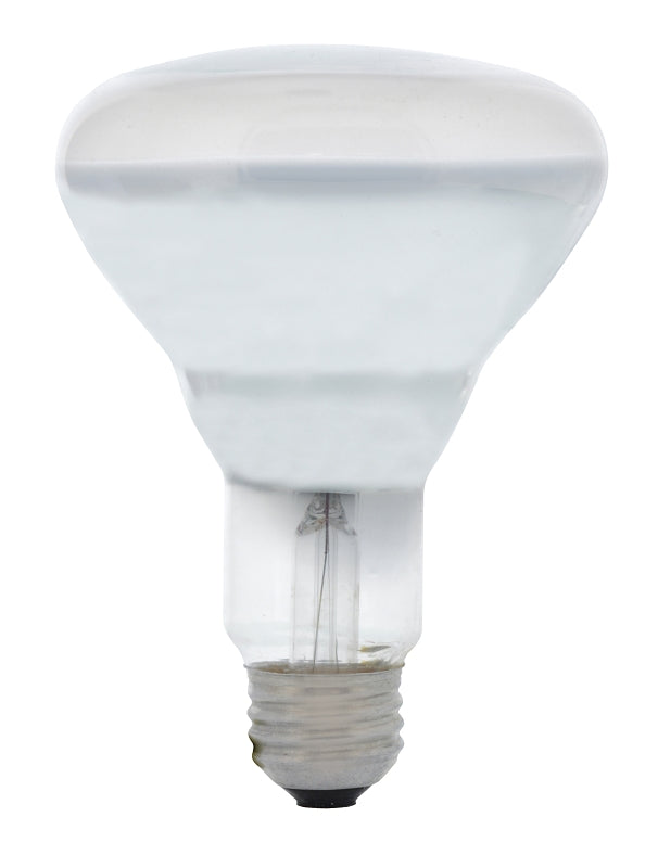 15234 BULB INCAN BR30 FRSTD 65