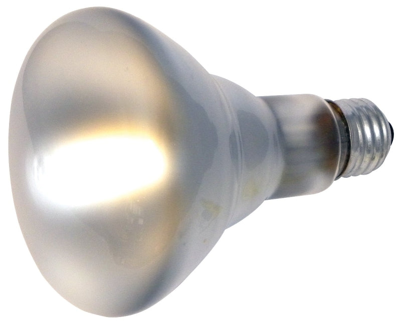 15160 REFL FLOOD BULB65W BR30