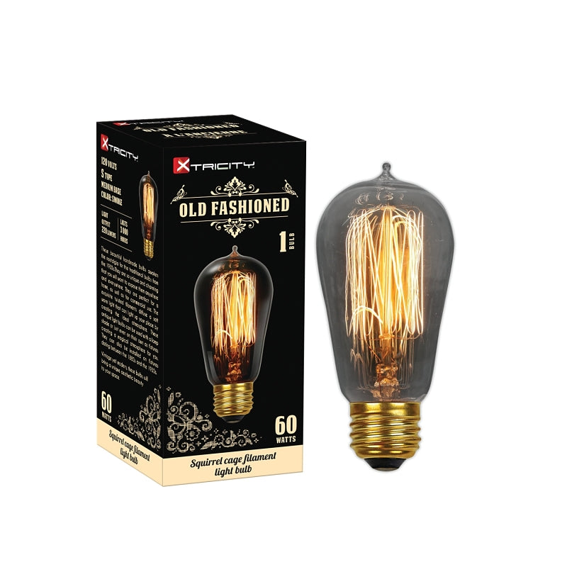 1-63106 BULB S TYPE 60W MED BS