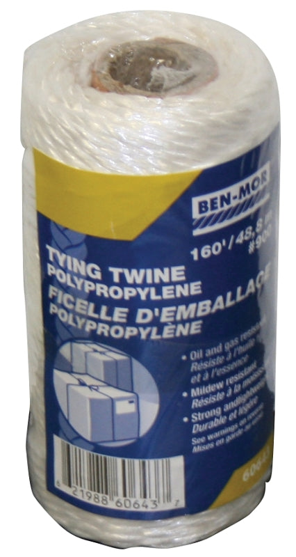 60643 TWINE PP PACK WHITE160FT