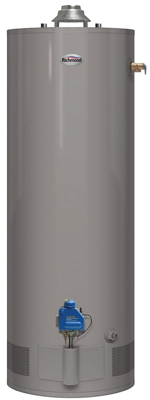 Richmond Essential Series 6G40-36F3 Gas Water Heater, Natural Gas, 40 gal Tank, 52 gph, 36000 Btu/hr BTU, Dark Warm Gray