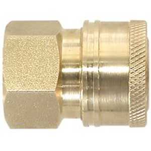 PK-85300103 3/8QC COUPLER-FPT